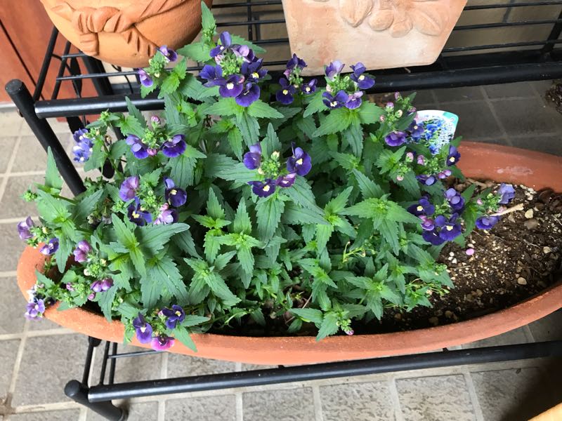 rblog-20190426181233-06.jpg