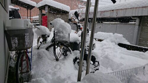 rblog-20170115152921-02.jpg