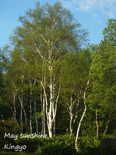 b648.JPG