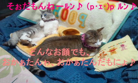 2013_0702うさちゃん0194.JPG