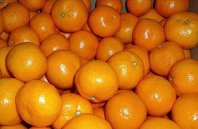 193562084_624.v1447107178..jpg