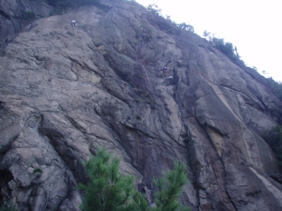 PA071596.jpg