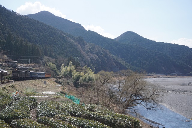 大井川鐵道 元 南海電車 丸普 & C10 8トラ塗り2