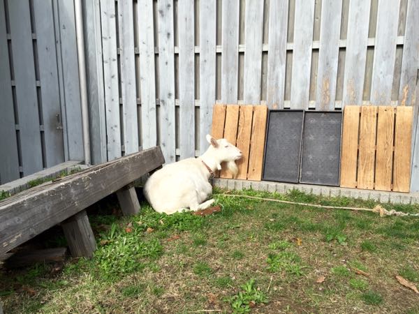rblog-20160409215638-03.jpg