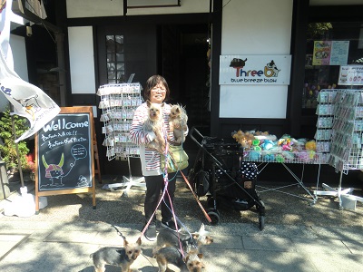 犬おでかけ 滋賀県 どらちゃん お出かけですよ 犬と旅行記 楽天ブログ
