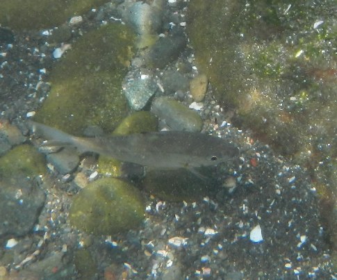 DSCN0163.jpg