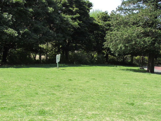 柄ジーパン＆和光樹林公園 265.JPG