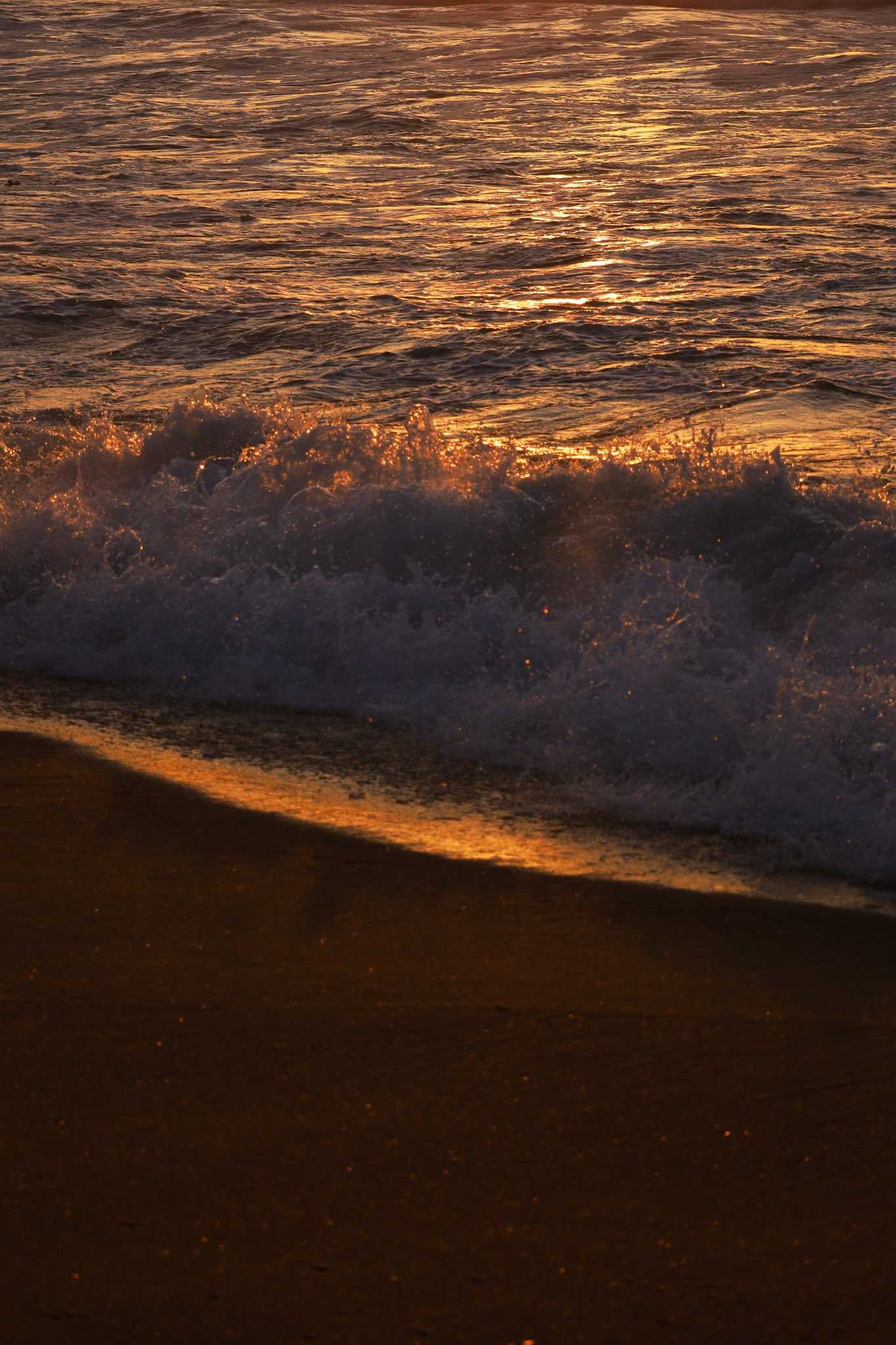 MORI-SAKIのブログ