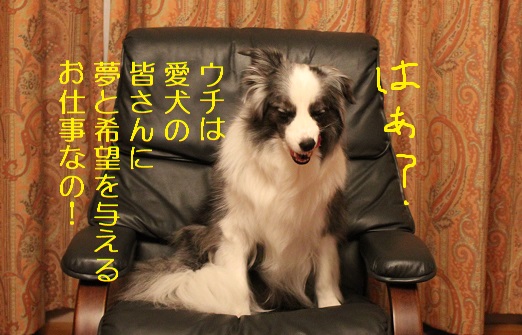 お仕事内容