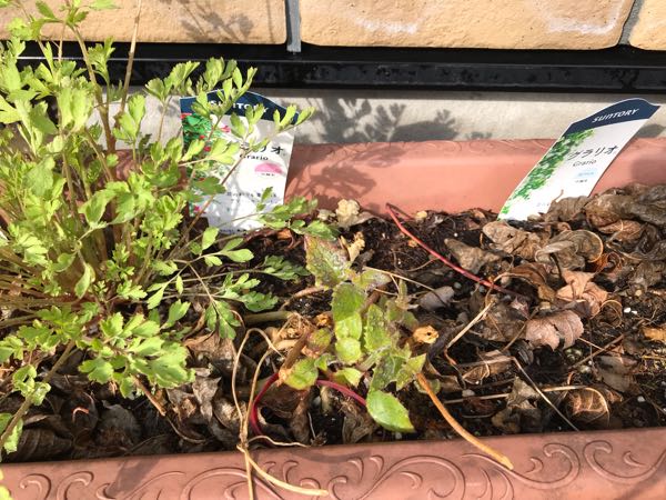 rblog-20190401164110-06.jpg