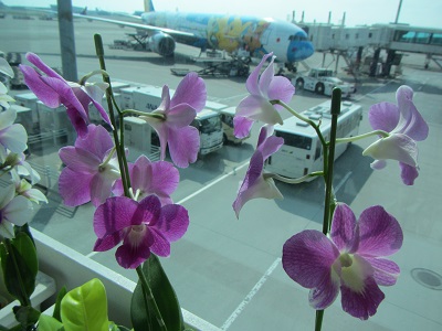 花１.jpg
