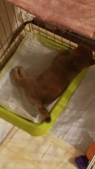 rblog-20180913191839-00.jpg