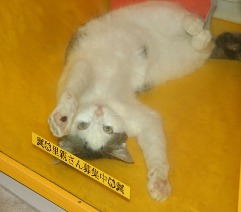 20121119ｼｰ03.jpg