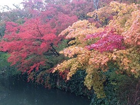 DSC_1945 - コピー.jpg