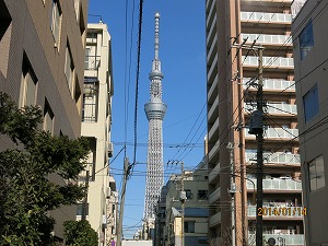 IMG_1199b.jpg