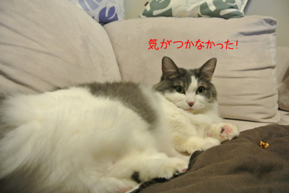 mumu9.jpg