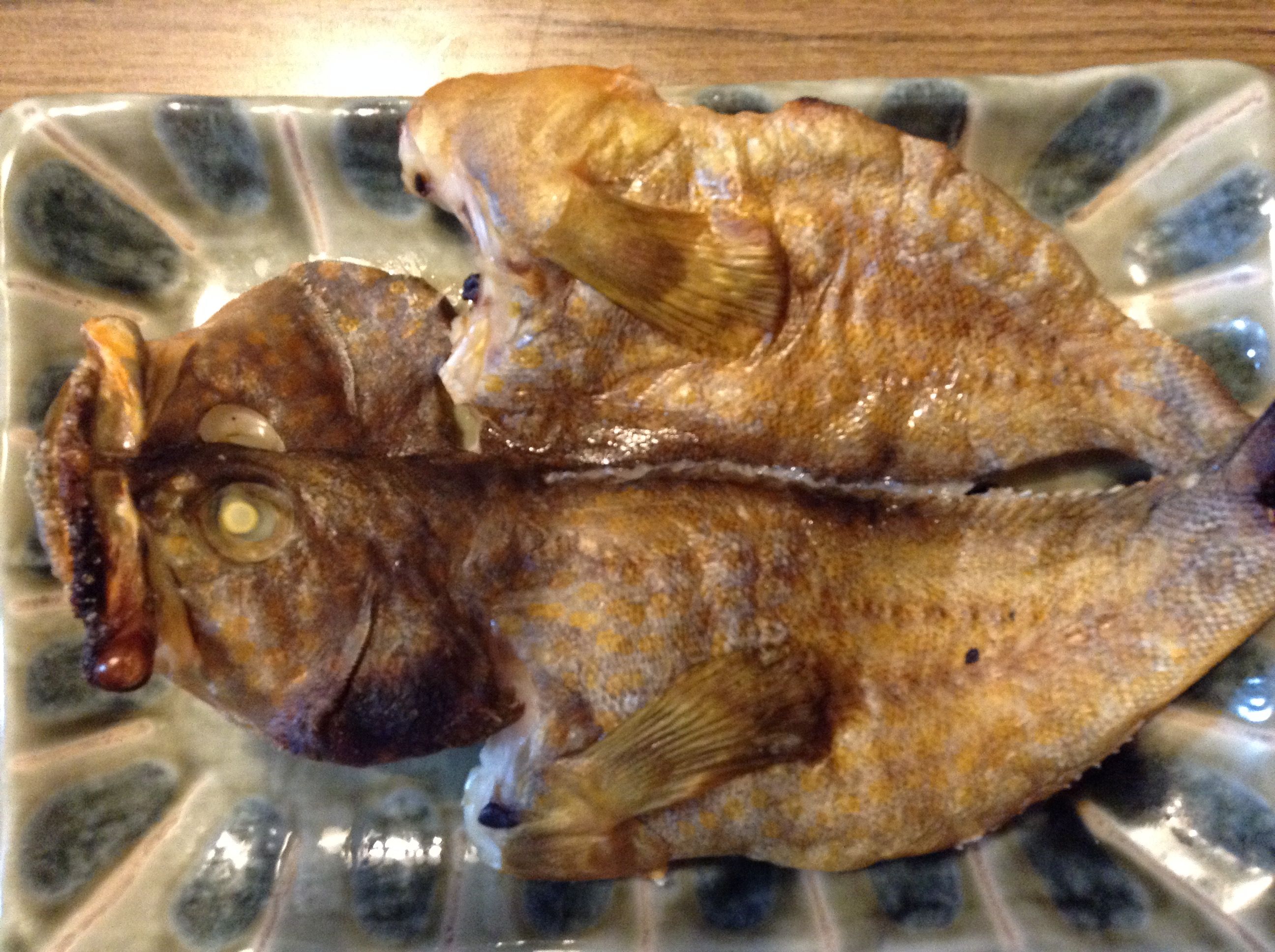 6ページ目の記事一覧 とある夫婦の釣れづれ日記 楽天ブログ