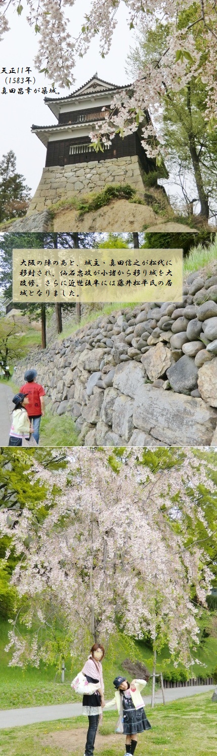 2011.5uedajyou2.jpg