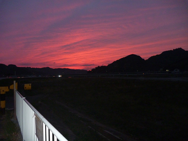 resize0037.jpg
