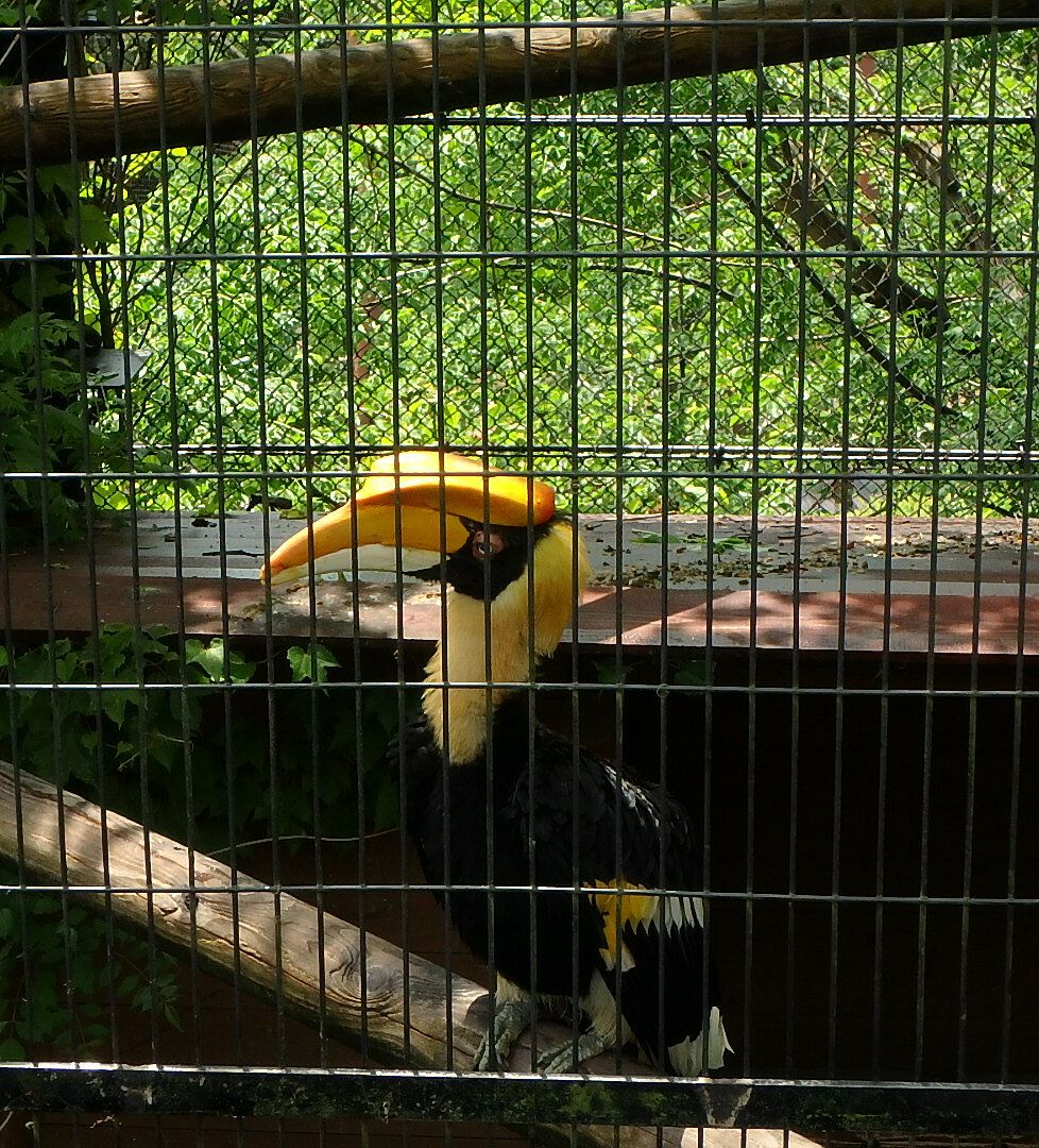 到津の森公園の動物たち 1 楽天版じぶん更新日記 楽天ブログ