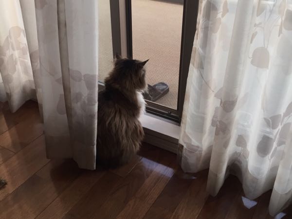 rblog-20150508180019-05.jpg