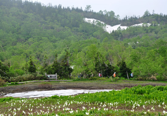 雪２