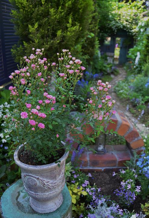 DSC_0407.JPG