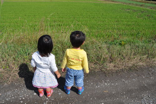 双子の孫