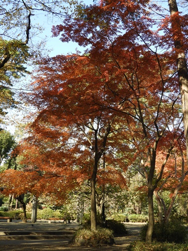 井の頭自然文化園