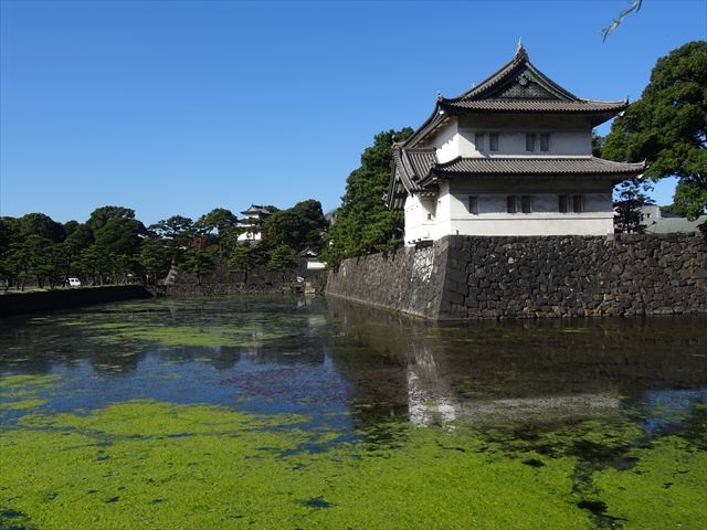 DSC07429_R.JPG