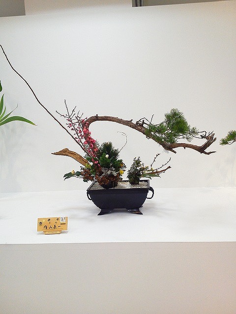 NEC_0102.jpg
