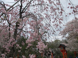 IMG_9279ss.jpg