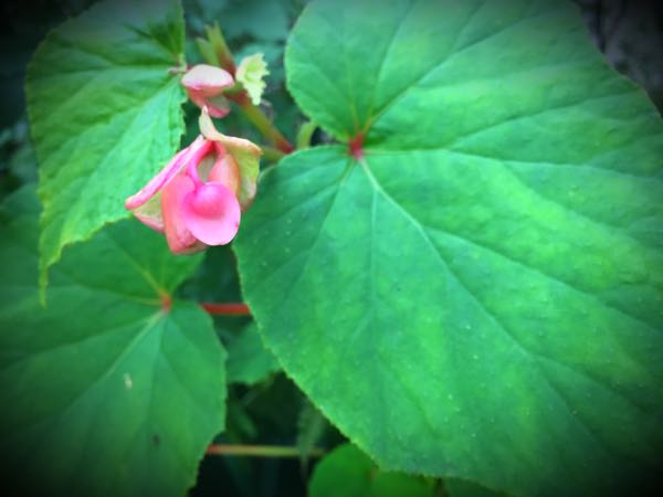 rblog-20160725204340-05.jpg