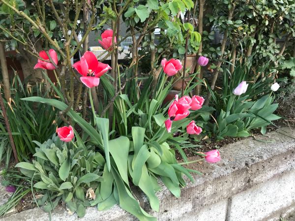 rblog-20180408180927-05.jpg