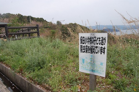 s-DSC_0435.jpg