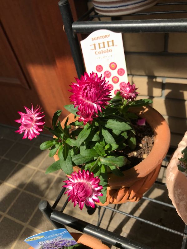 rblog-20180408162109-00.jpg