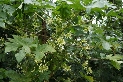 DSC03158.jpg