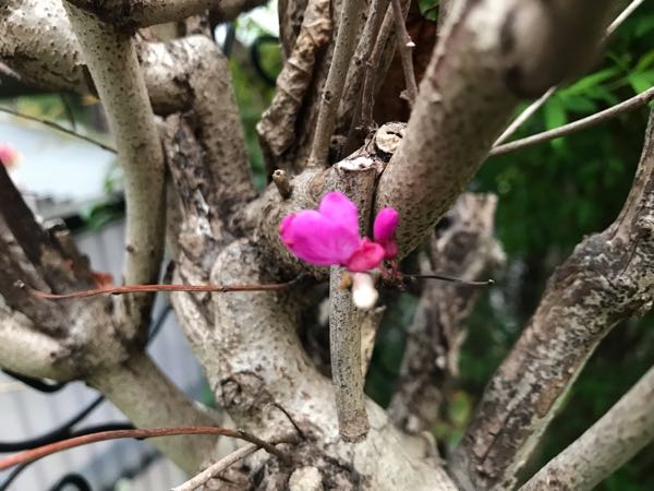 rblog-20190419193912-08.jpg