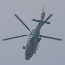 IMG_6738-6.jpg