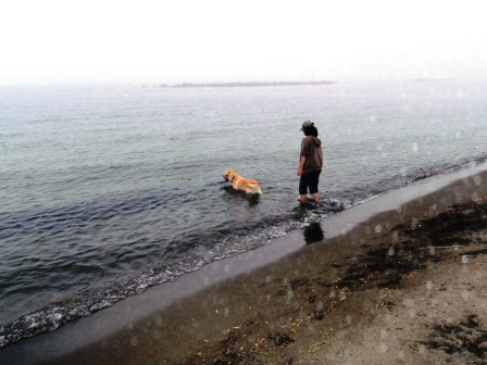 2013浜益6.jpg