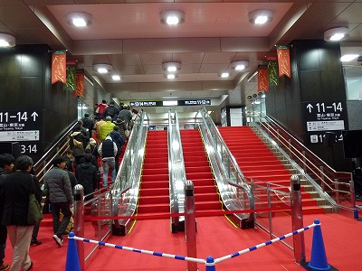 P1010016.jpg