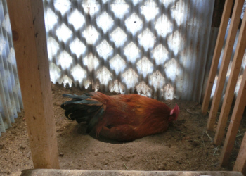 20140221(2)