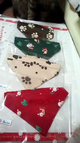 141018-Tissue-s-Trunk1