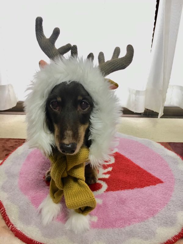 rblog-20181224063558-01.jpg