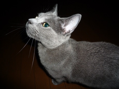 P1240330 - コピー.JPG