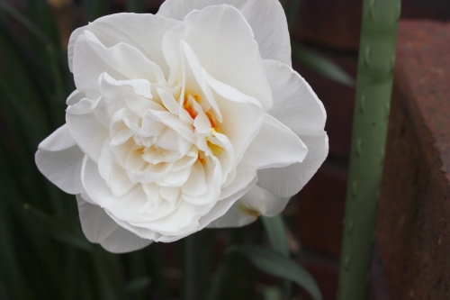 20160414010.JPG