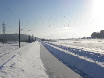 DSCN7603.jpg