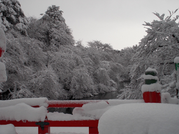 DSCN6233.jpg
