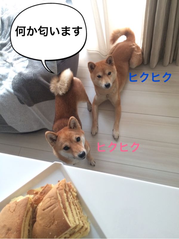 rblog-20161221003634-01.jpg