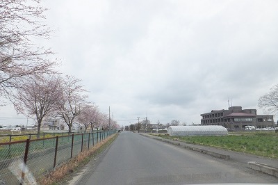 DSCF3342.jpg